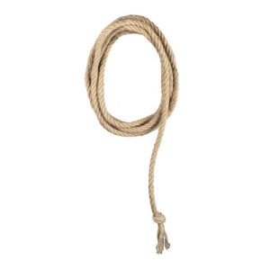 Lasso / rep